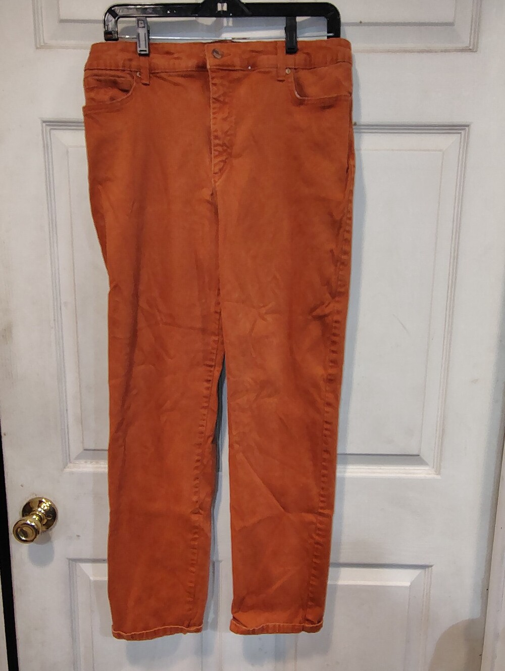 Gloria Vanderbilt Women's Size 14 Rust Pants